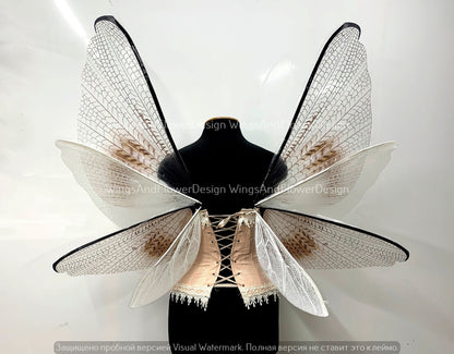 Transparent wings, moth wings, butterfly wings elf wings, butterfly fairy wings fantasy Halloween magical fairy clear wings
