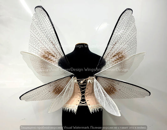 Transparent wings, moth wings, butterfly wings elf wings, butterfly fairy wings fantasy Halloween magical fairy clear wings