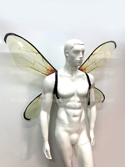 Transparent bee wings, insect wings, fairy wings, wings Photo Prop,  beetle wings, butterfly fairy bee wings, fantasy halloween