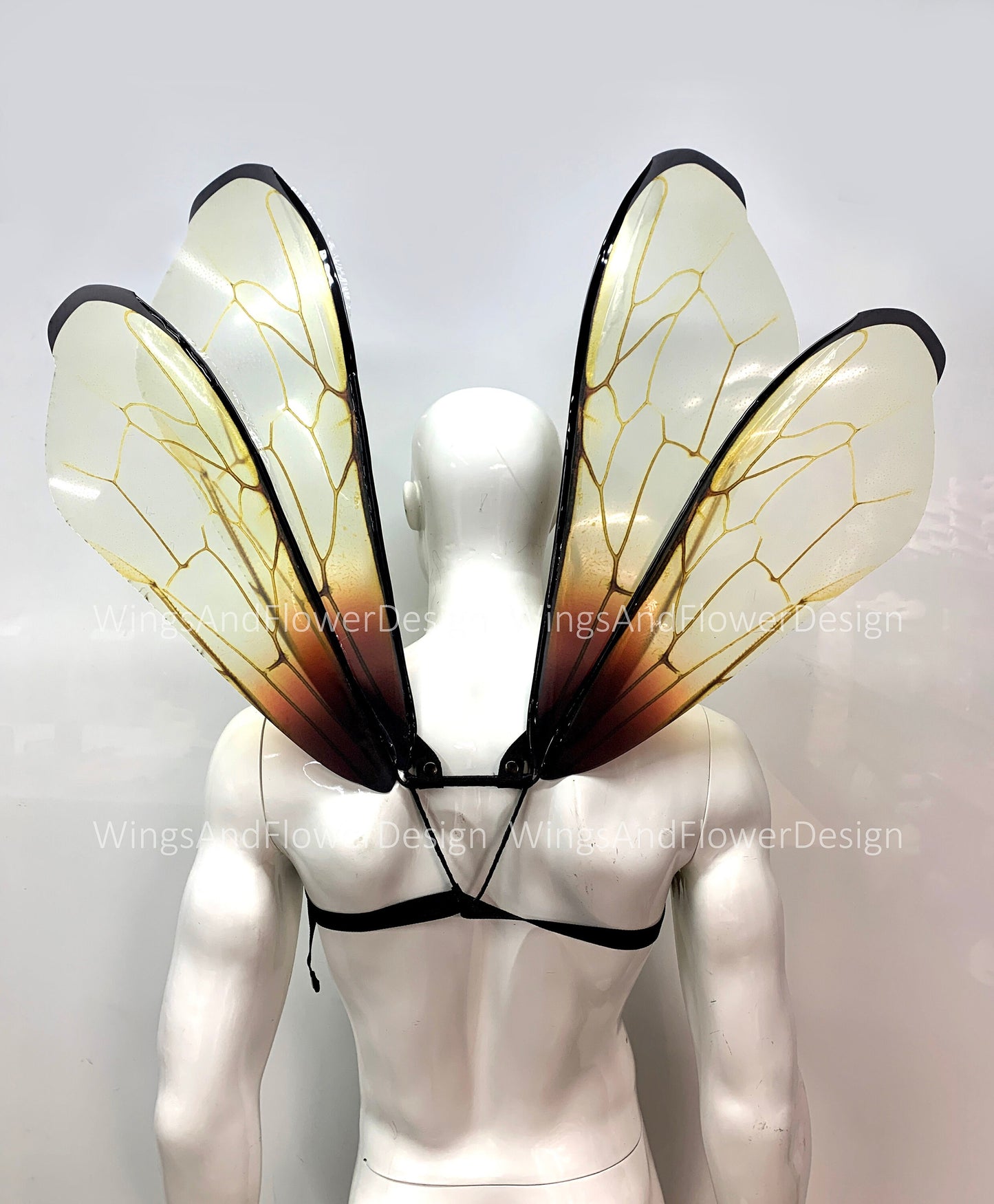 Transparent bee wings, insect wings, fairy wings, wings Photo Prop,  beetle wings, butterfly fairy bee wings, fantasy halloween