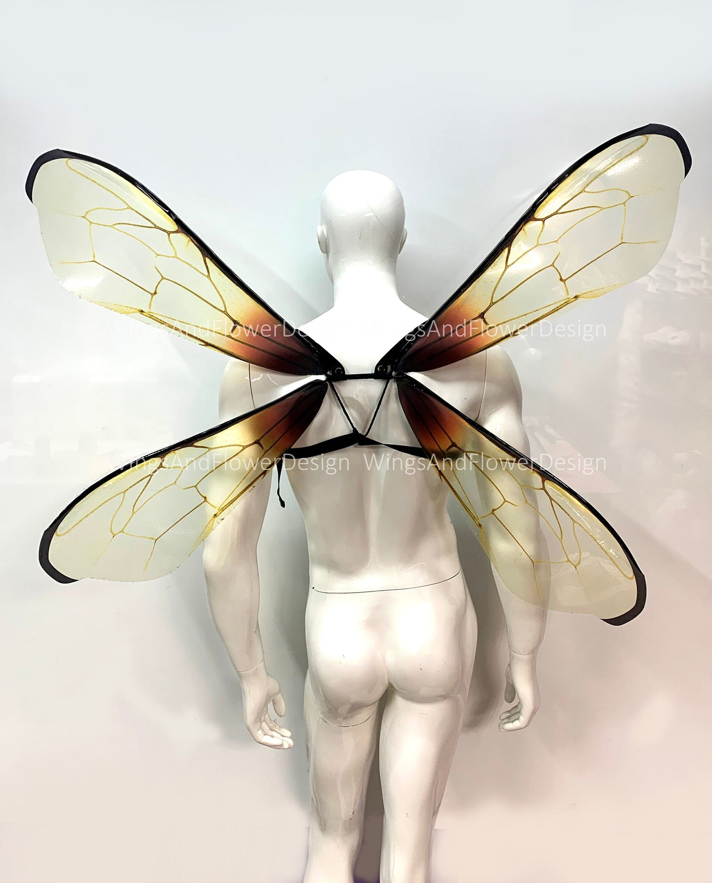 Transparent bee wings, insect wings, fairy wings, wings Photo Prop,  beetle wings, butterfly fairy bee wings, fantasy halloween