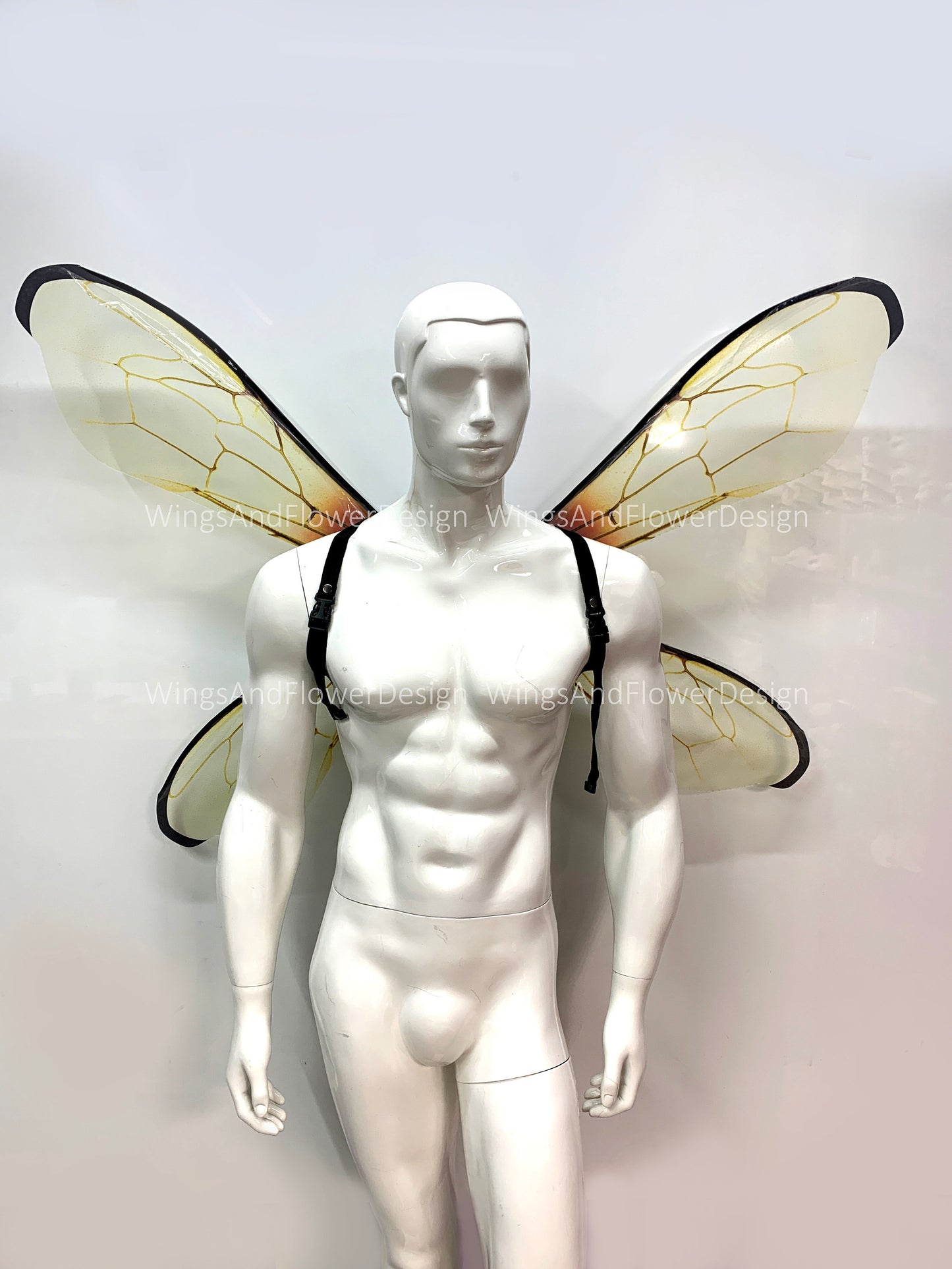 Transparent bee wings, insect wings, fairy wings, wings Photo Prop,  beetle wings, butterfly fairy bee wings, fantasy halloween
