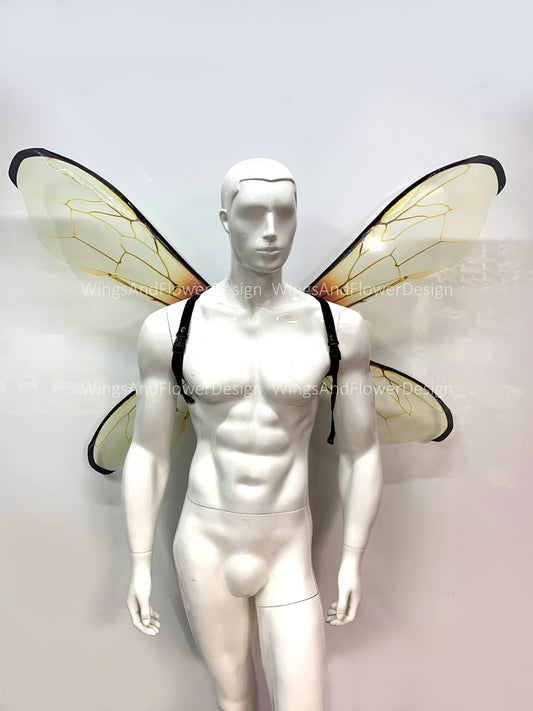 Transparent bee wings, insect wings, fairy wings, wings Photo Prop,  beetle wings, butterfly fairy bee wings, fantasy halloween
