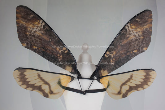 Deaths head moth wings hawkmoth brown wings costume wings death's-head hawkmoth wings brown swallowtail festival clothing