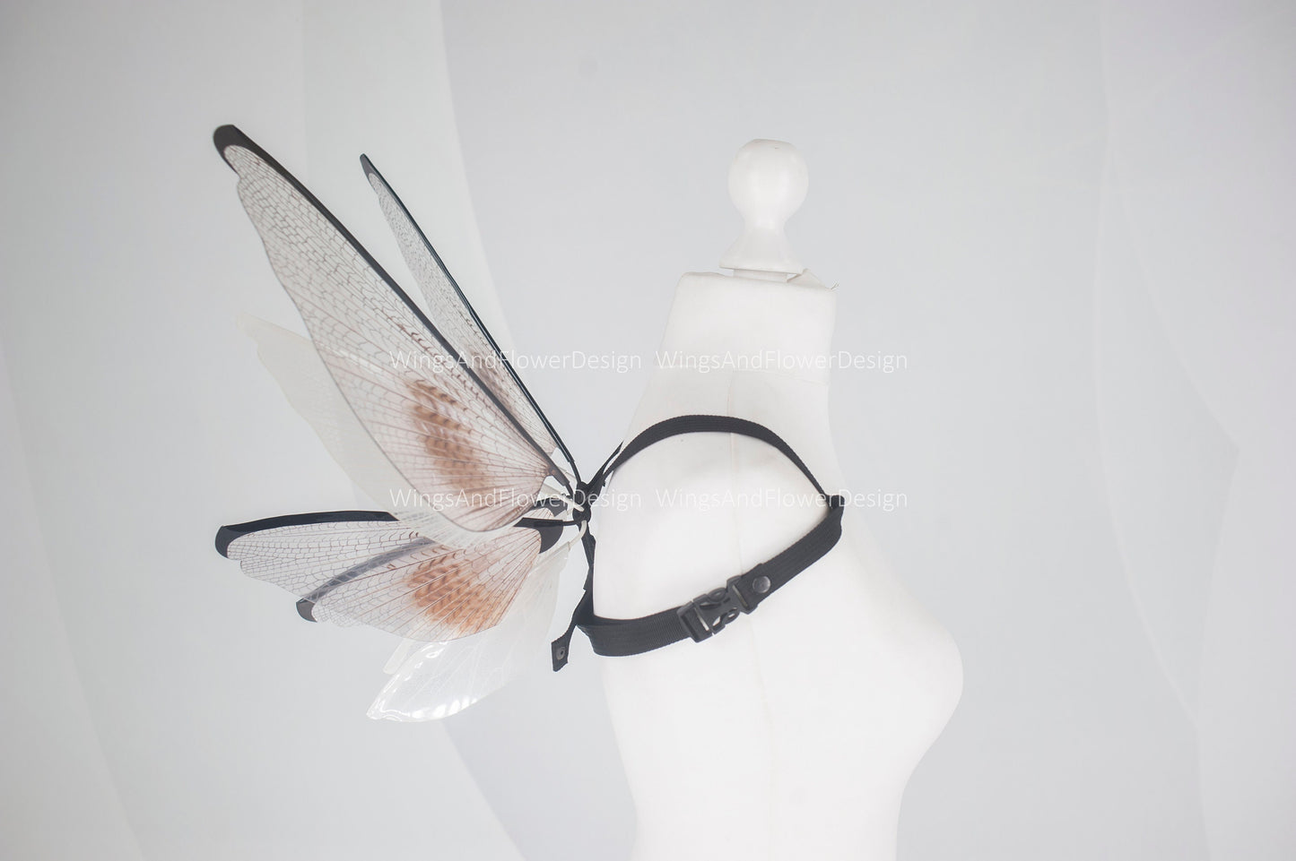 Small little transparent wings, moth wings, butterfly wings, elf wings, butterfly fairy wings, fantasy Halloween, magical fairy clear wings