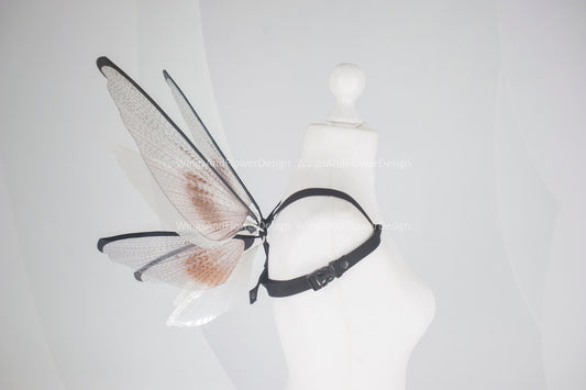 Small little transparent wings, moth wings, butterfly wings, elf wings, butterfly fairy wings, fantasy Halloween, magical fairy clear wings