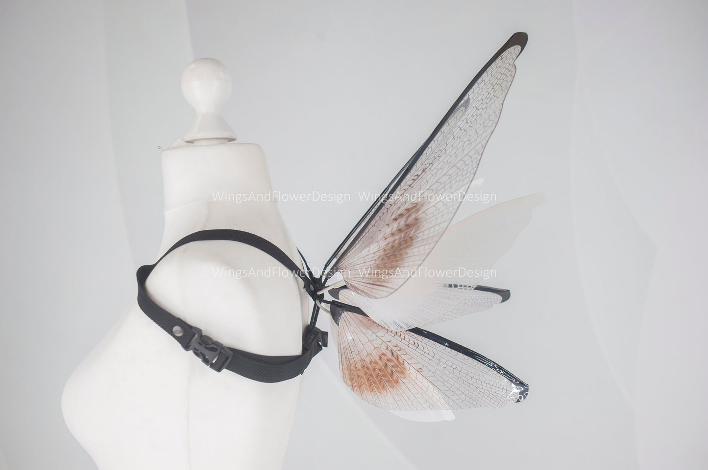 Small little transparent wings, moth wings, butterfly wings, elf wings, butterfly fairy wings, fantasy Halloween, magical fairy clear wings