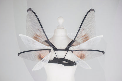Small little transparent wings, moth wings, butterfly wings, elf wings, butterfly fairy wings, fantasy Halloween, magical fairy clear wings