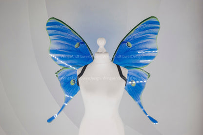 Luna Moth green blue eyespots moon butterfly wings, fairy wings, wedding wings, butterfly fairy wings, fantasy halloween magical Actias luna