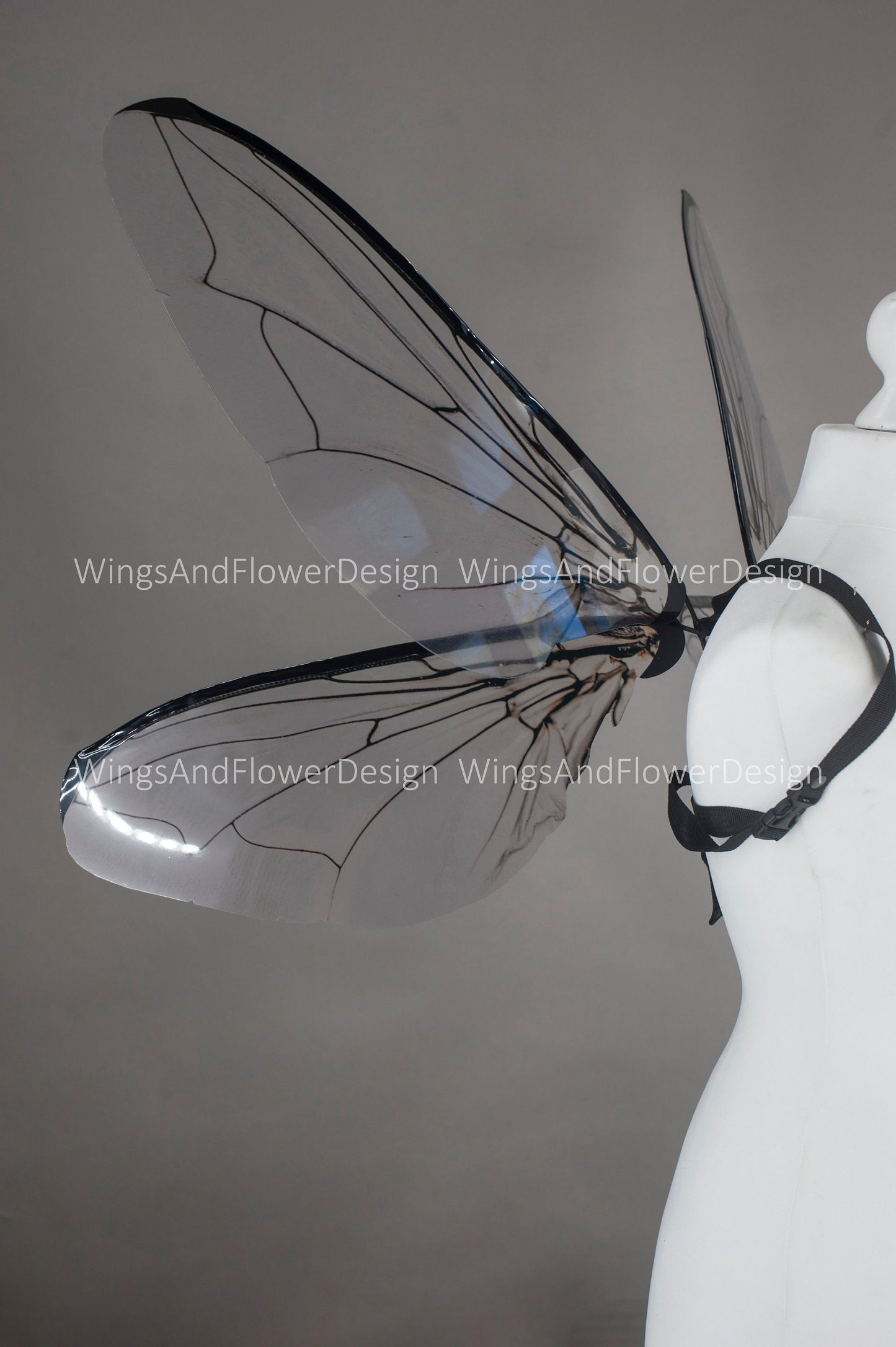 Fly black beetle wings, elf wings, fairy wings, wings Photo Prop, wedding wings, butterfly fairy wings, fantasy halloween, magical fairy