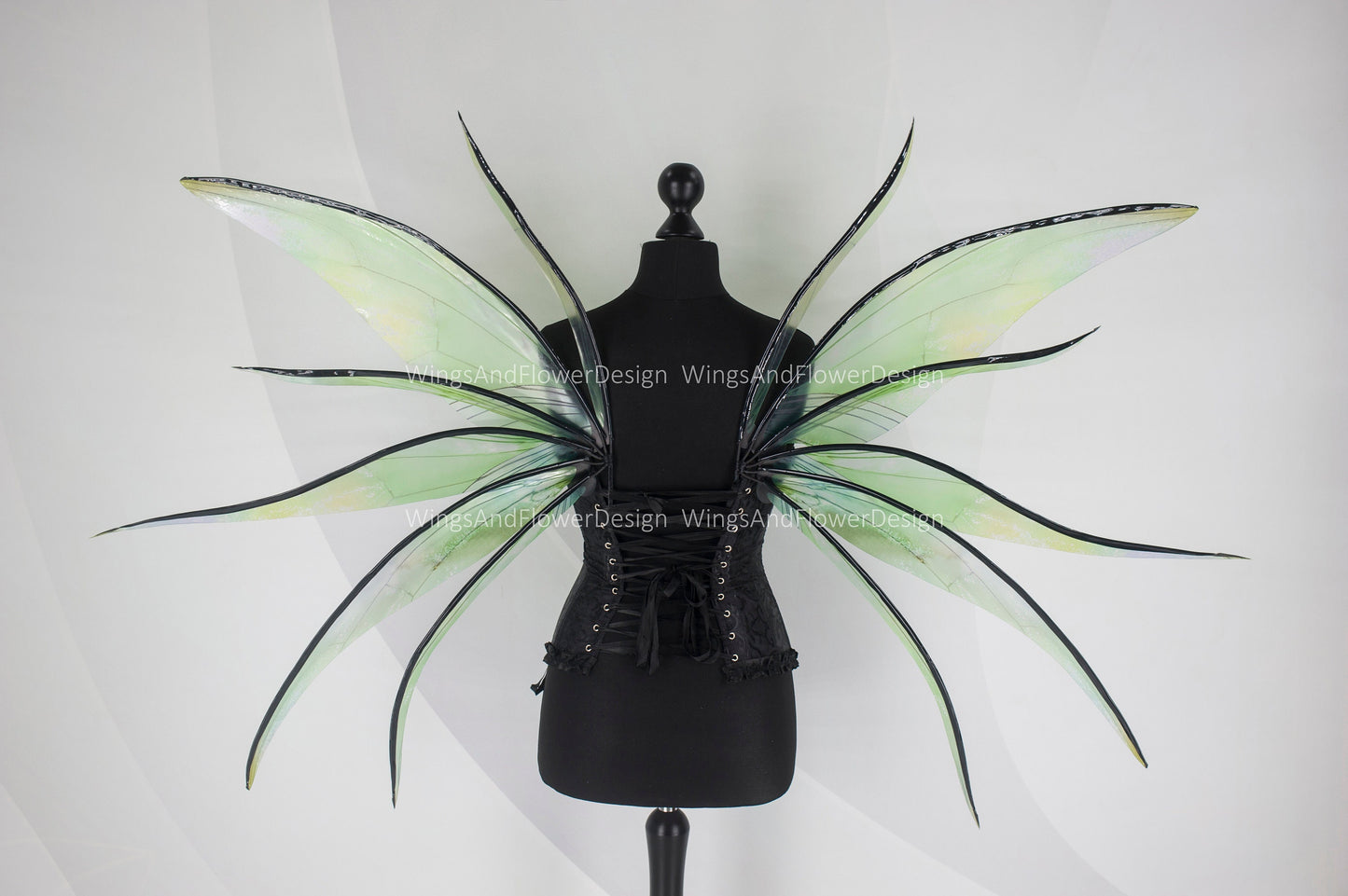 Transparent green moth wings, butterfly wings, elf wings, butterfly fairy wings, fantasy Halloween fantasy, magical fairy clear wings