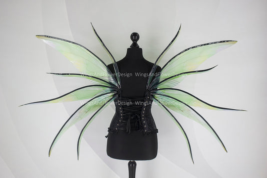 Transparent green moth wings, butterfly wings, elf wings, butterfly fairy wings, fantasy Halloween fantasy, magical fairy clear wings