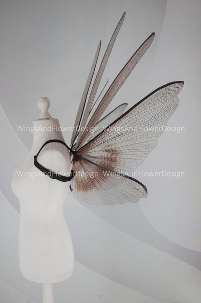 Transparent brown wings , moth wings, butterfly wings elf wings, butterfly fairy wings fantasy Halloween magical fairy clear wings