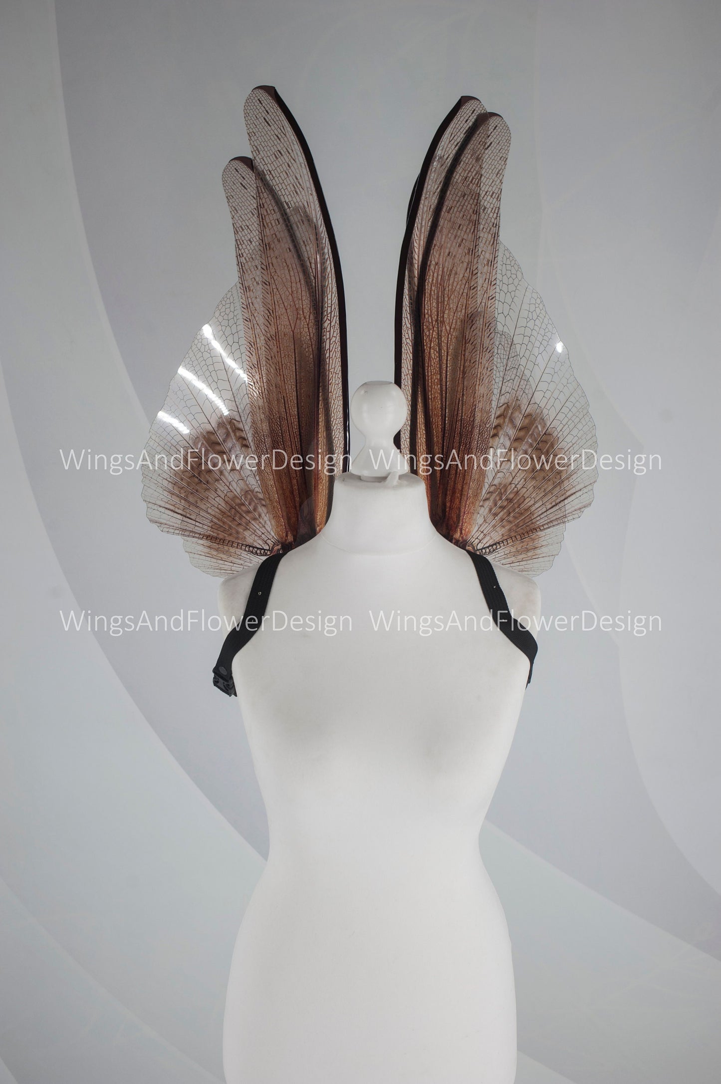 Transparent brown wings , moth wings, butterfly wings elf wings, butterfly fairy wings fantasy Halloween magical fairy clear wings