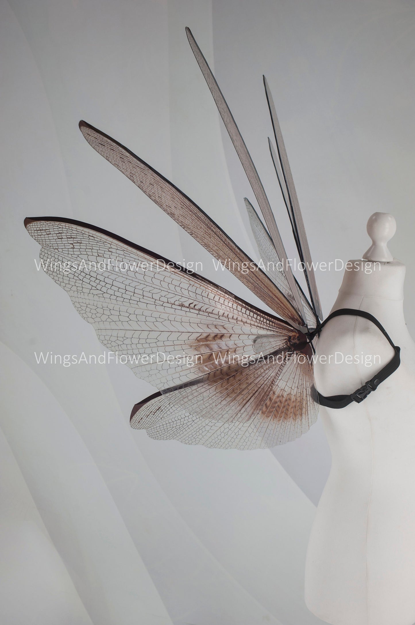 Transparent brown wings , moth wings, butterfly wings elf wings, butterfly fairy wings fantasy Halloween magical fairy clear wings
