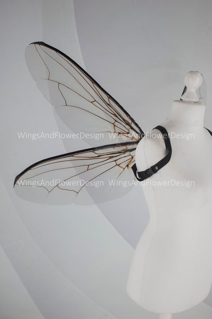 Fly brown black beetle wings, elf fairy wings, wings Photo Prop, wedding wings, butterfly fairy wings, fantasy halloween, magical fairy