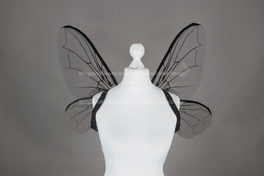 Fly black beetle wings, elf wings, fairy wings, wings Photo Prop, wedding wings, butterfly fairy wings, fantasy halloween, magical fairy