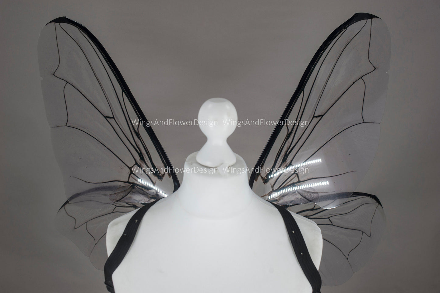 Fly black beetle wings, elf wings, fairy wings, wings Photo Prop, wedding wings, butterfly fairy wings, fantasy halloween, magical fairy