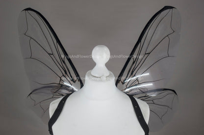 Fly black beetle wings, elf wings, fairy wings, wings Photo Prop, wedding wings, butterfly fairy wings, fantasy halloween, magical fairy