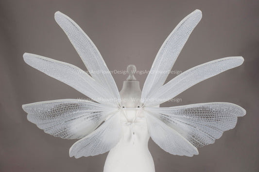Transparent white moth wings, white butterfly wings elf wings, butterfly fairy wings fantasy Halloween magical fairy clear wings