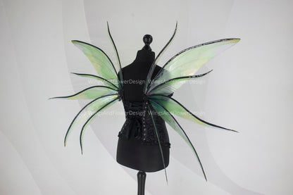 Transparent green moth wings, butterfly wings, elf wings, butterfly fairy wings, fantasy Halloween fantasy, magical fairy clear wings