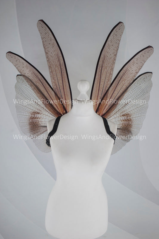 Transparent brown wings , moth wings, butterfly wings elf wings, butterfly fairy wings fantasy Halloween magical fairy clear wings