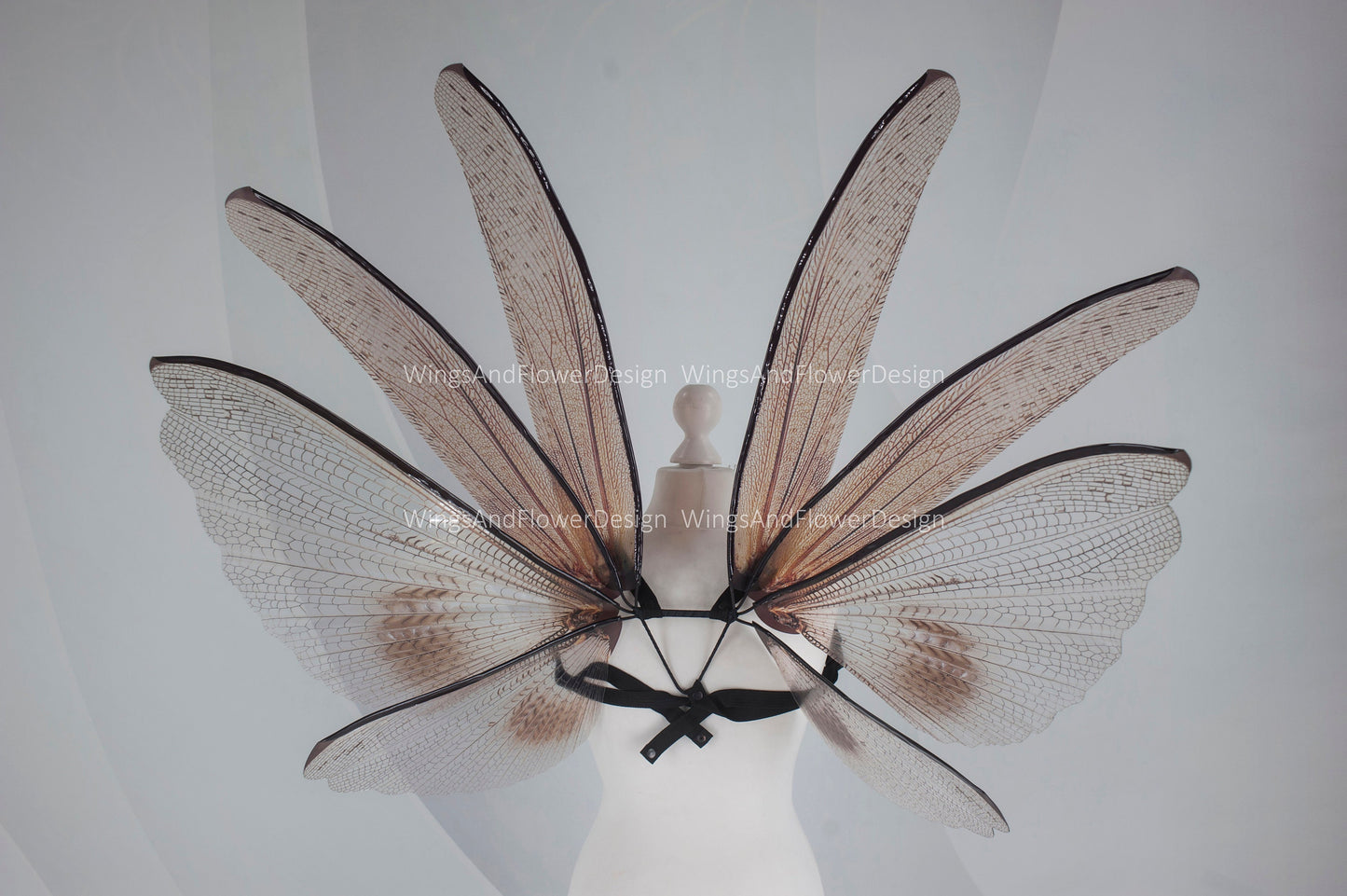 Transparent brown wings , moth wings, butterfly wings elf wings, butterfly fairy wings fantasy Halloween magical fairy clear wings