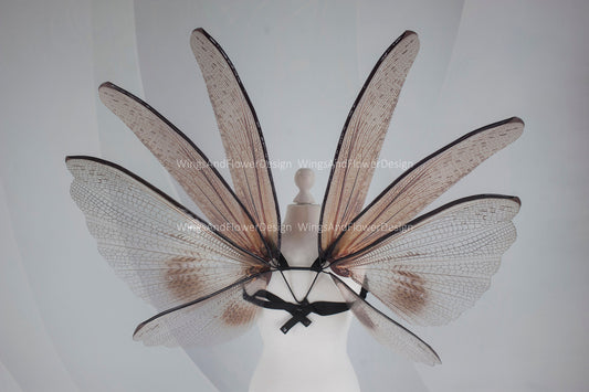 Transparent brown wings , moth wings, butterfly wings elf wings, butterfly fairy wings fantasy Halloween magical fairy clear wings