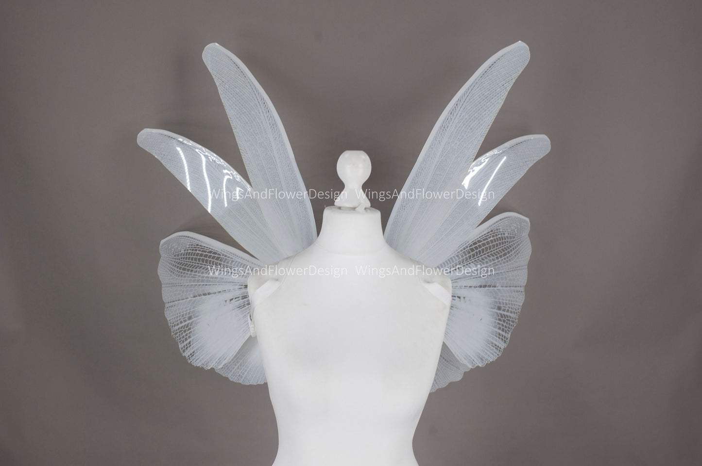 Transparent white moth wings, white butterfly wings elf wings, butterfly fairy wings fantasy Halloween magical fairy clear wings
