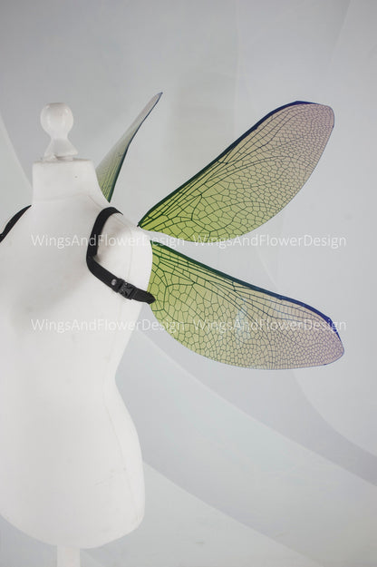 Green dragonfly wings butterfly brown wings elf wings,fairy wings, wings Photo Prop, green butterfly wings, fantasy halloween magical fairy,