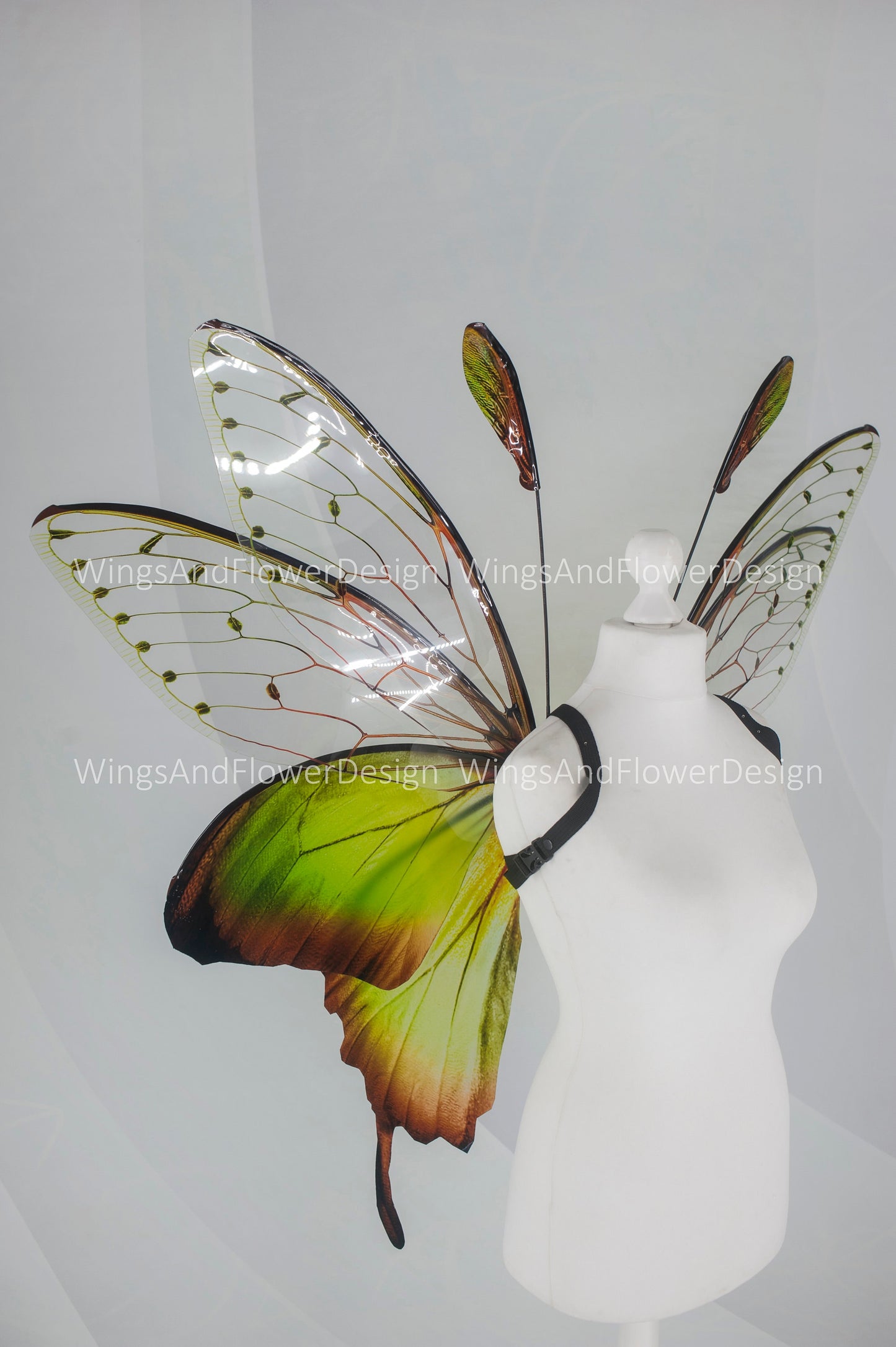 Butterfly green forest fairy wings, wings Photo Prop, wedding wings, butterfly magical fairy wings, fantasy halloween Renaissance Fair