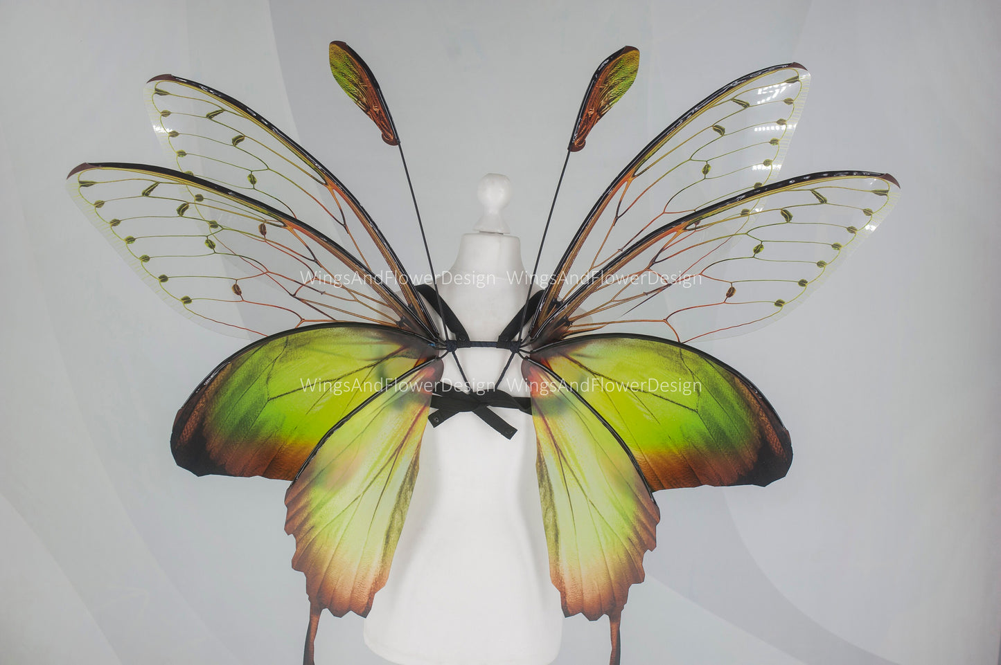 Butterfly green forest fairy wings, wings Photo Prop, wedding wings, butterfly magical fairy wings, fantasy halloween Renaissance Fair