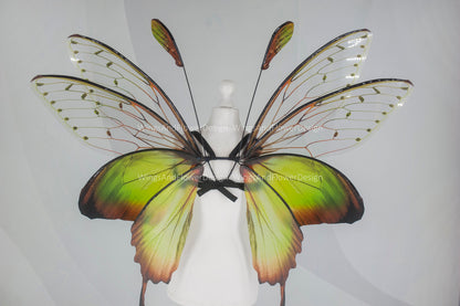 Butterfly green forest fairy wings, wings Photo Prop, wedding wings, butterfly magical fairy wings, fantasy halloween Renaissance Fair