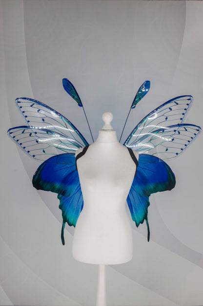 Butterfly green turquoise blue wings, forest fairy wings, wings Photo Prop, wedding wings, butterfly magical fairy wings, fantasy halloween