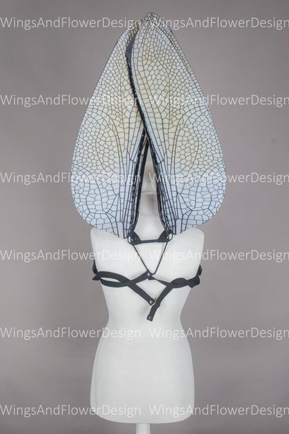 Brown white dragonfly wings, butterfly brown wings, elf fairy wings, wings Photo Prop, butterfly wings, fantasy halloween, magical fairy