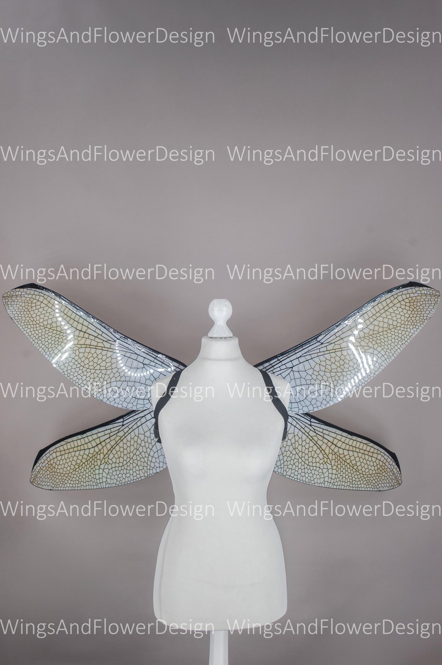 Brown white dragonfly wings, butterfly brown wings, elf fairy wings, wings Photo Prop, butterfly wings, fantasy halloween, magical fairy