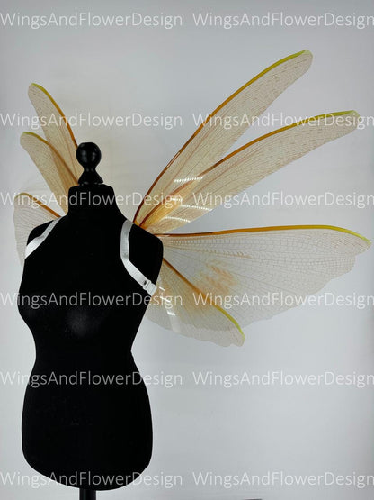 Transparent gold yellow moth wings, butterfly wings elf wings, butterfly fairy wings fantasy Halloween magical fairy clear wings