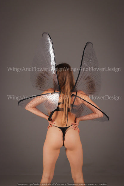 Transparent wings, butterfly wings, elf wings, wings Photo Prop, butterfly fairy wings, fantasy Halloween fantasy, magical fairy clear wings